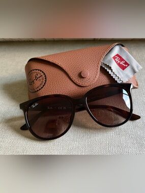 Ray-Ban RB4378 Sunglasses